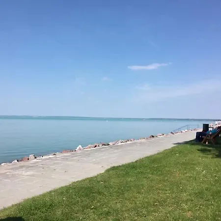 Aranyhid 希欧福克